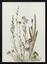 Wildflowers ink sketch Poster