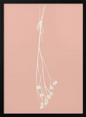 Gypsophila ink sketch I (cream, pink) Poster