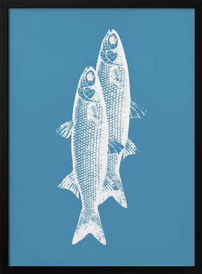 Pescados Poster