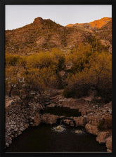 Ventana Canyon Poster