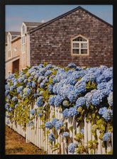 Cannon Beach Hydrangeas Poster