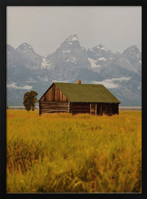 Teton Valley Poster