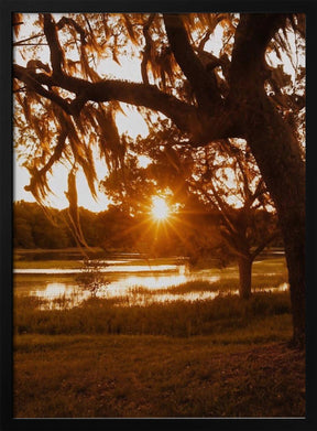 Low Country Sunset Poster