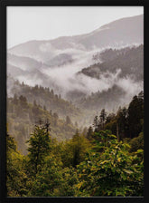 Great Smoky Mountains Poster