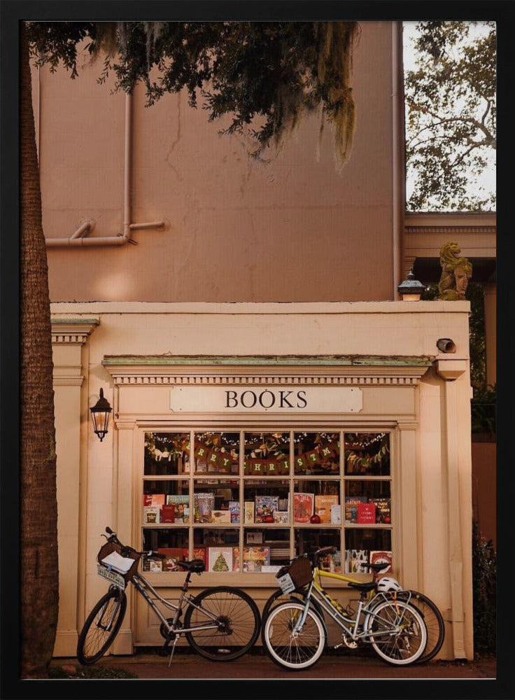 Books &amp; Bicycles Poster