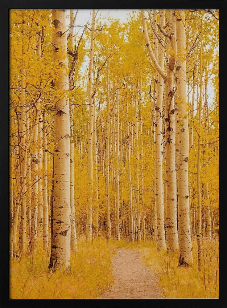 Aspen Alley Poster