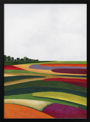 Colors in the meadow Poster