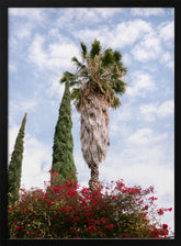 San Miguel de Allende Mexico Poster