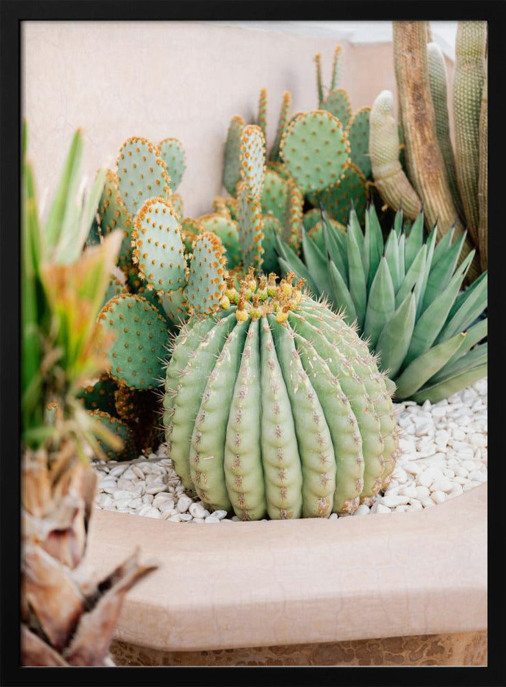 Cactus Love | Marrakech Travel Photography Poster