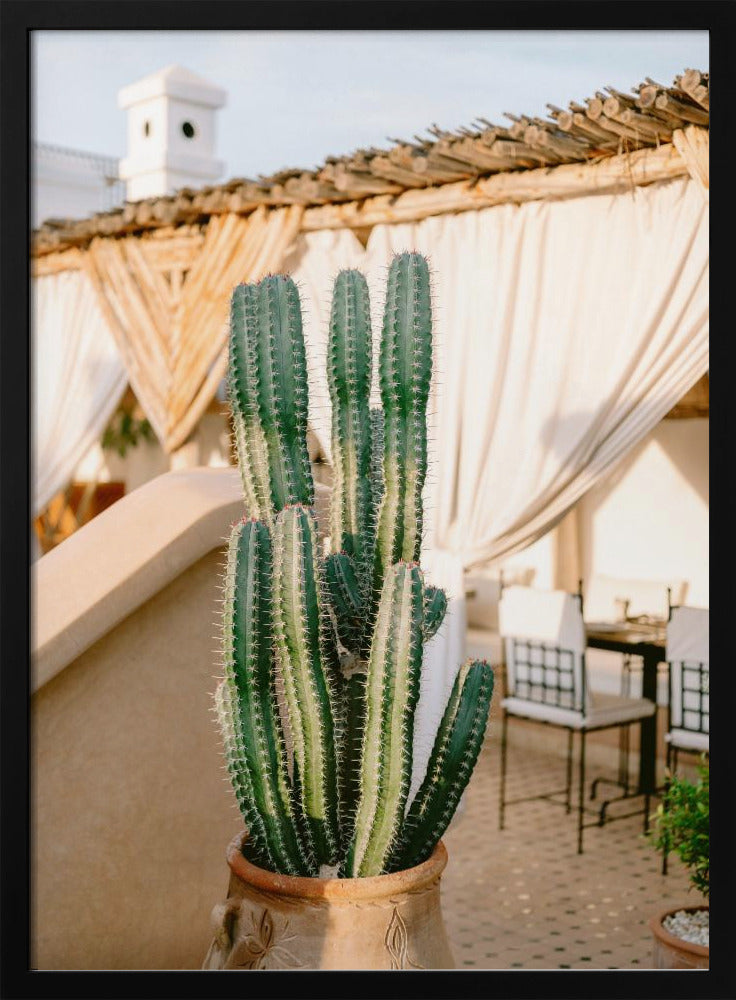 Rooftop Cactus | Morocco Travel Photography Poster