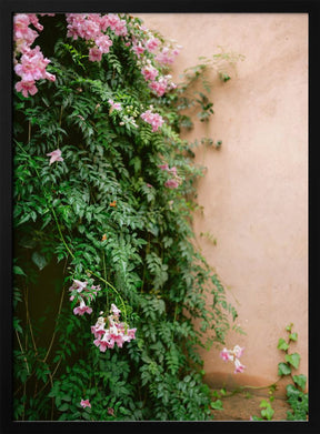 Flowers of Marrakech Poster