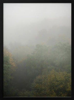 Foggy Autumn Forest Poster