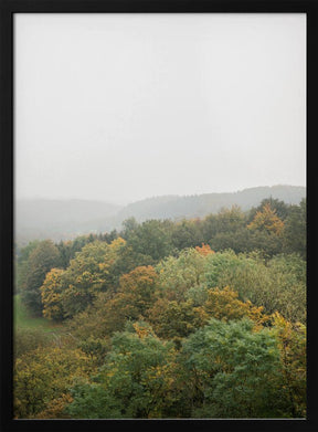 Autumn Forest Canopy | Serene Landscape Photography Poster