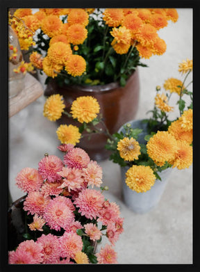 Chrysanthemum Blooms | Autumn Floral Still Life Poster