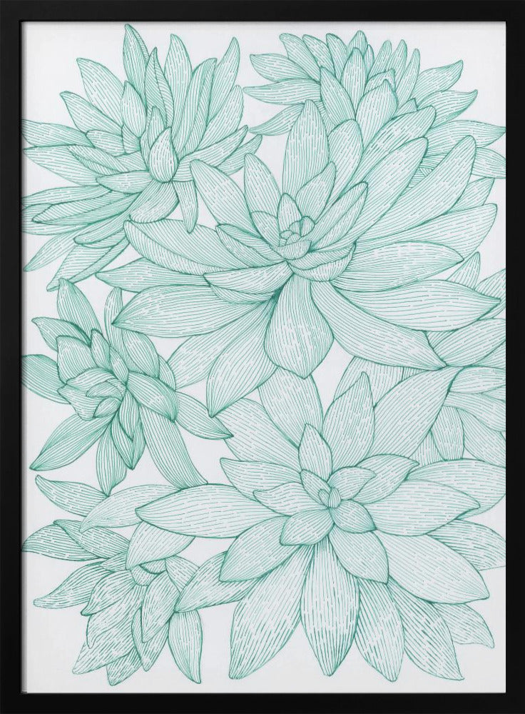 Turquoise Succulents Poster