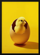 Yellow Chicken Poster