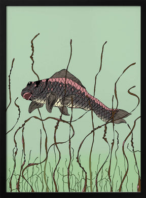 Fish Poster