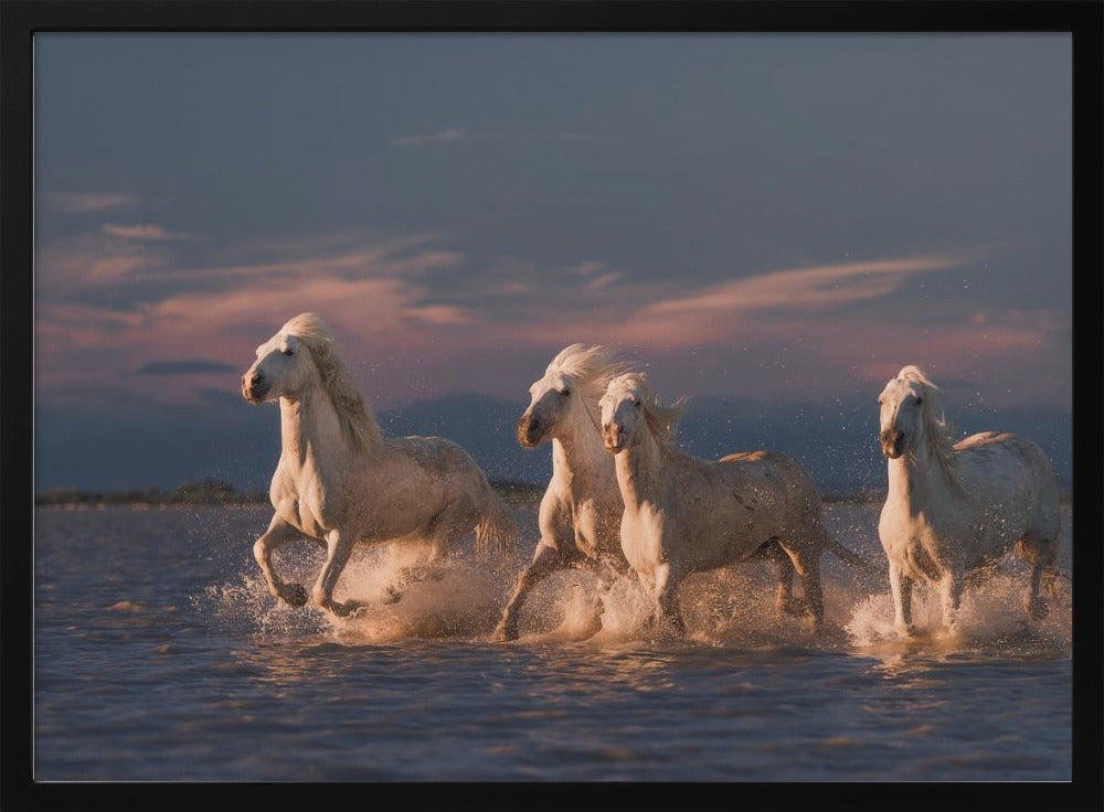 Angels of Camargue Poster