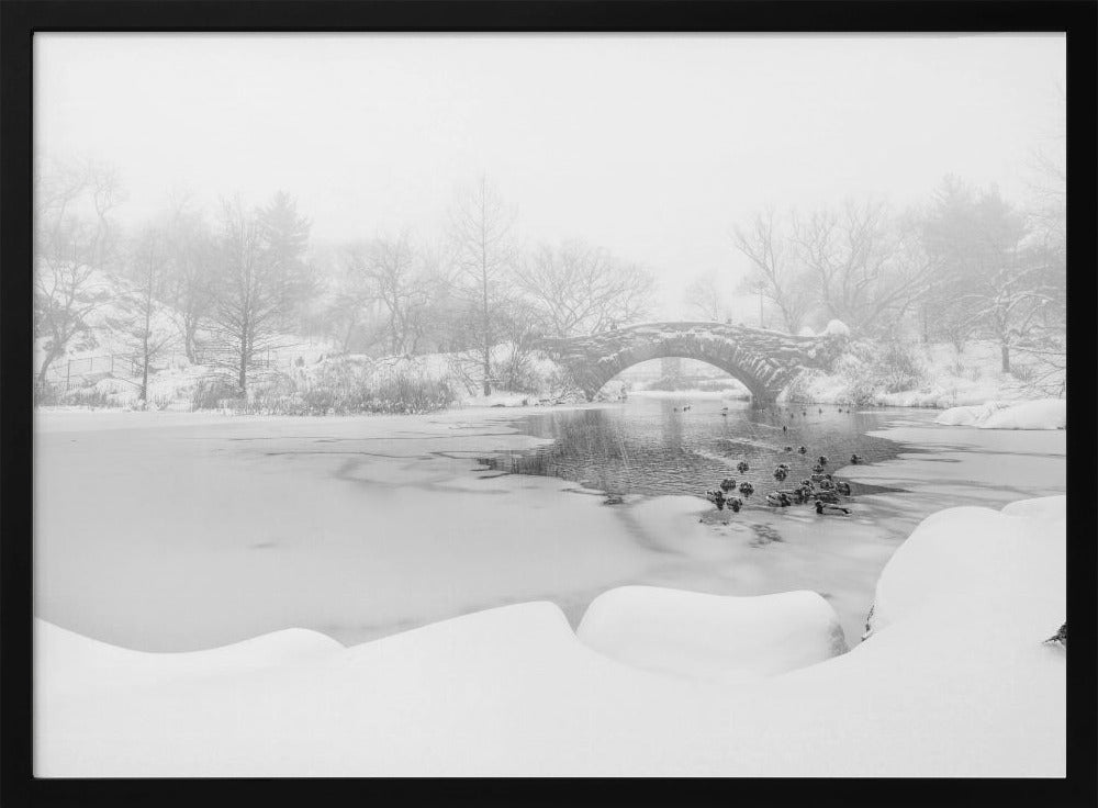 The first snow of central park Poster