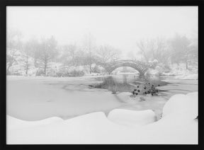 The first snow of central park Poster