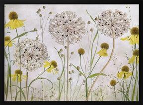 Alliums and heleniums Poster