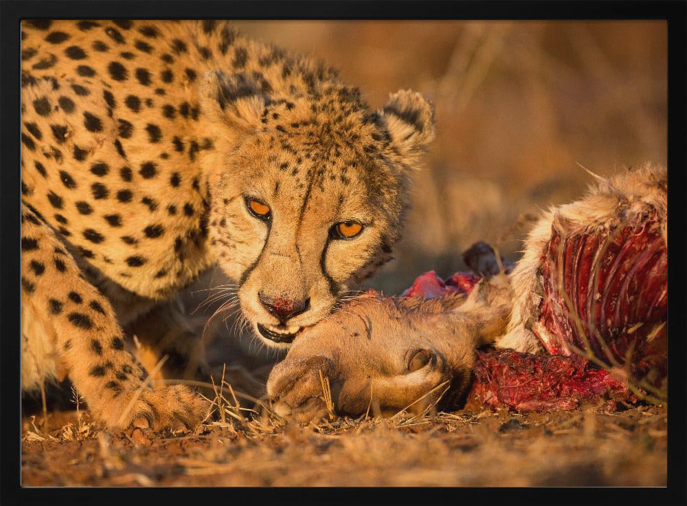 Eyes of Death Poster