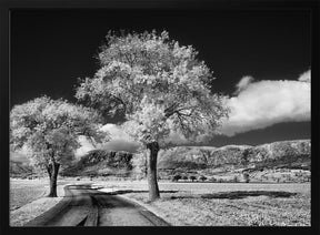 Hohe Wand Poster