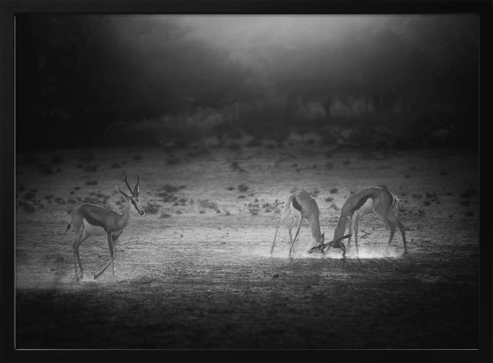 IN THE LIGHT OF SUNSET Poster