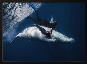 Dancing with whale Poster