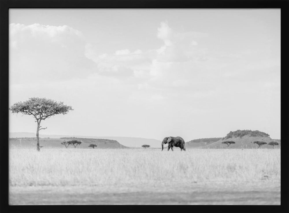 HIGH KEY SAVANNAH Poster