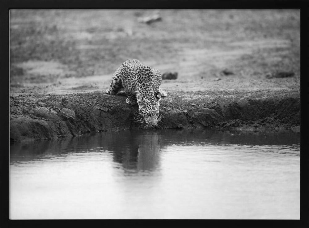 DECISIVE MOMENT Poster