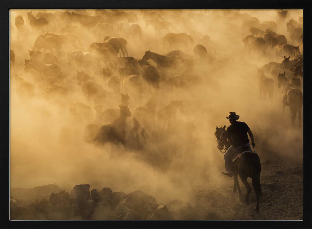 Cappadocia wild horses Poster