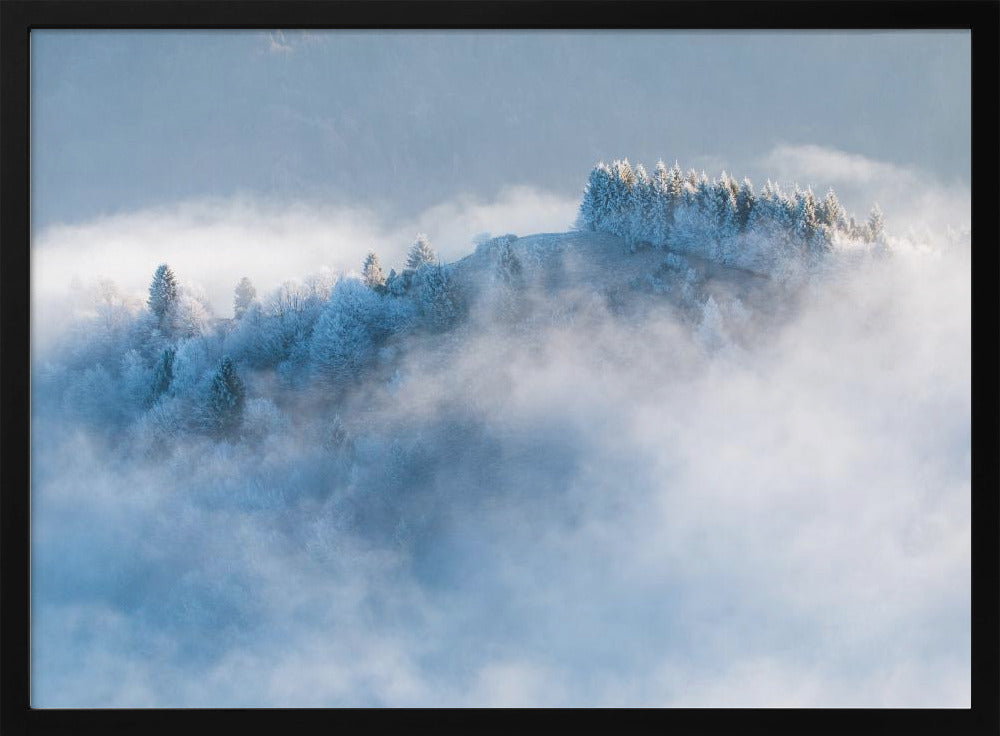 Frozen morning Poster