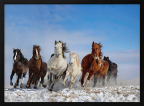 Mongolia Horses Poster