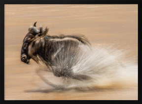 SLOW SHUTTER WILDEBEEST Poster