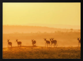 Towards Sunset Poster