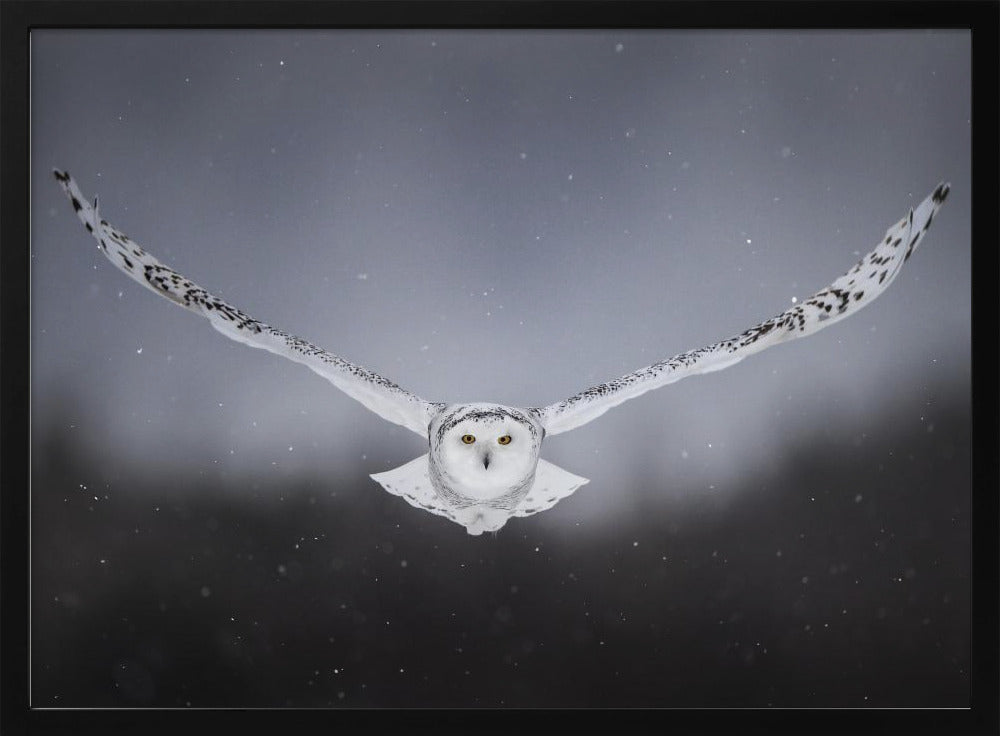 Straight to me Poster