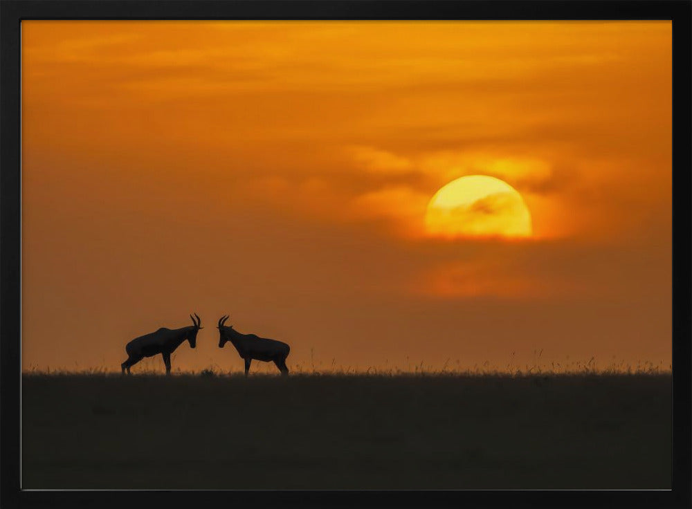 At The Sunset Poster