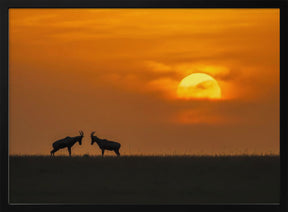 At The Sunset Poster