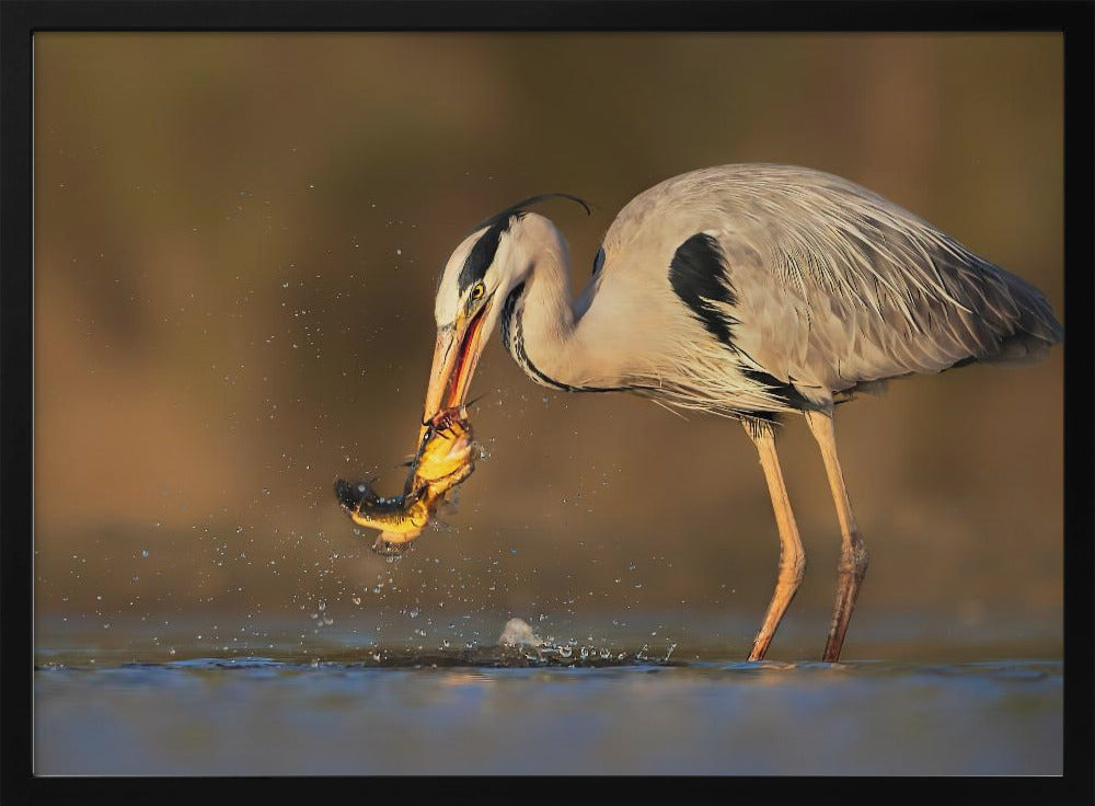 Catching Poster