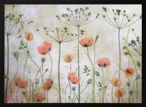 Poppy Meadow Poster