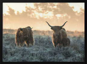 Three Highlanders Poster