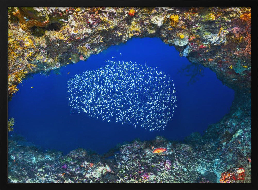 Underwater cave Poster