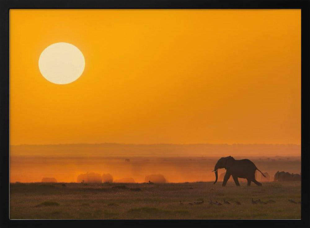 A Golden Morning Poster