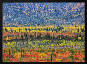 Fall Color in The Mountain Poster