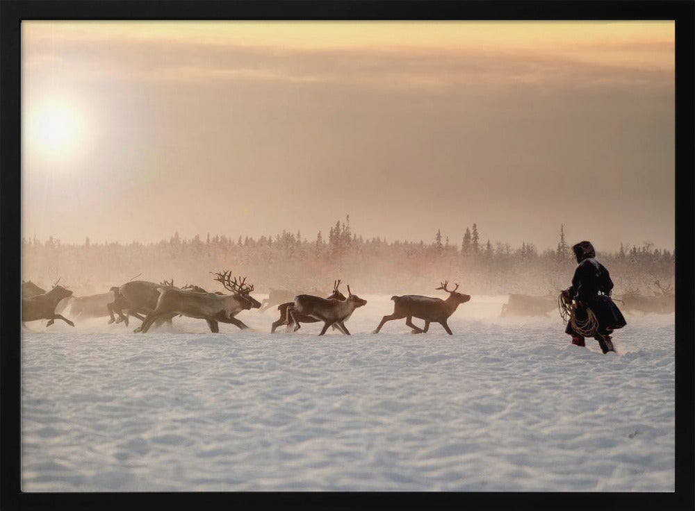 Reindeer hunter Poster