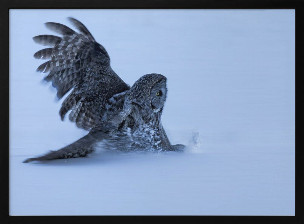 Sliding in The Snow Poster