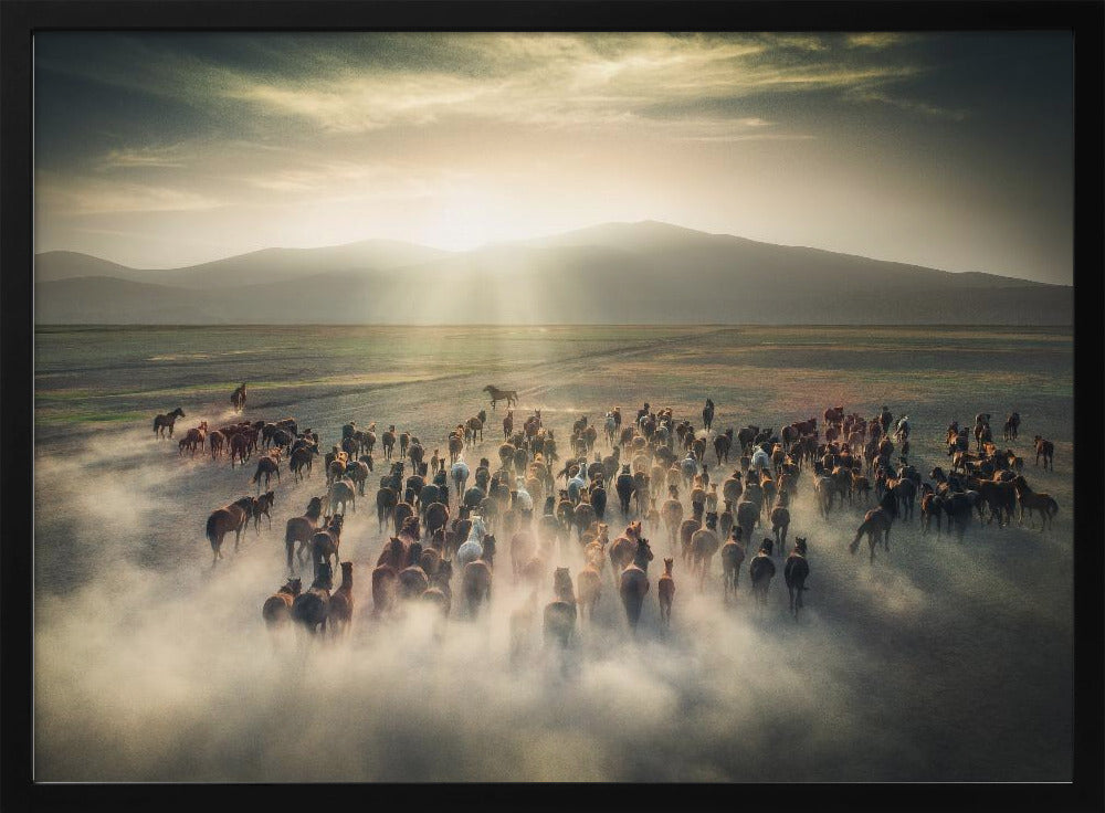 Wild Horses Poster