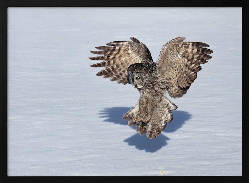 Just Before The Catch Poster