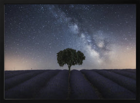 Tree and Milky Way Poster